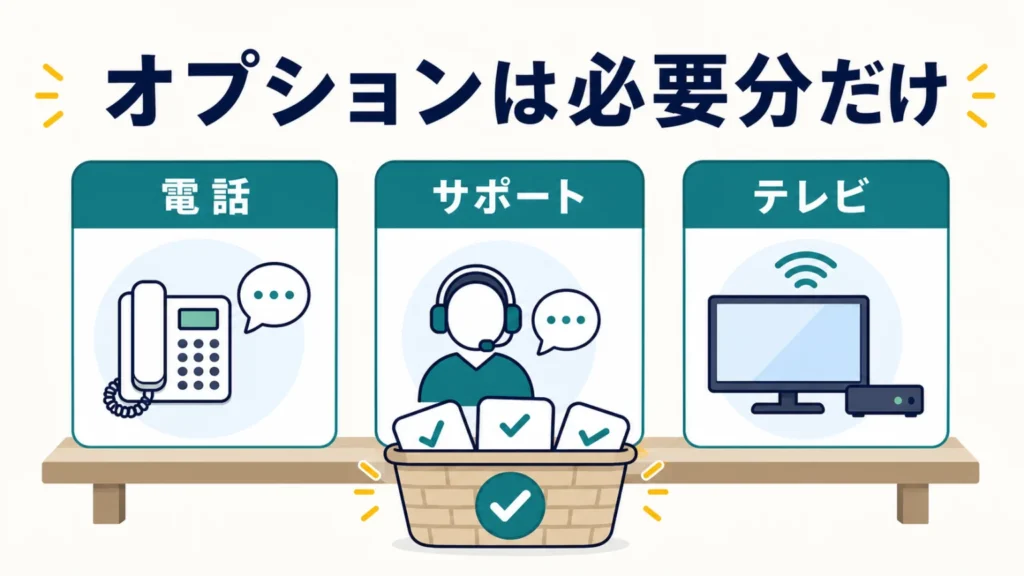 NURO光オプション一覧の要点を整理した図解